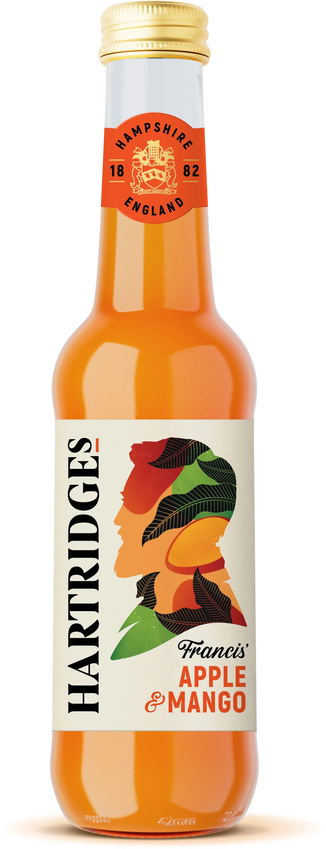 Hartridges Mixed Apple & Mango 12x275ml, another view